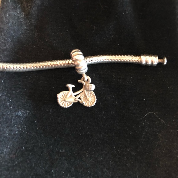 Pandora charms ! - Picture 5 of 9